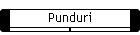 Punduri