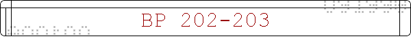 BP 202-203